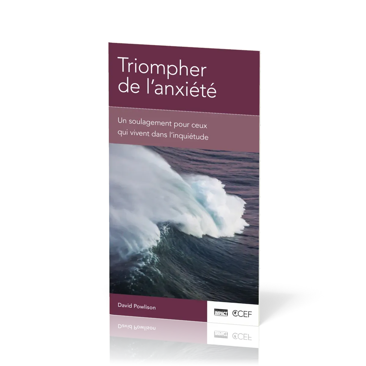 TRIOMPHER DE L'ANXIETE - UN SOULAGEMENT POUR CEUX QUI VIVENT DANS L'INQUIETUDE