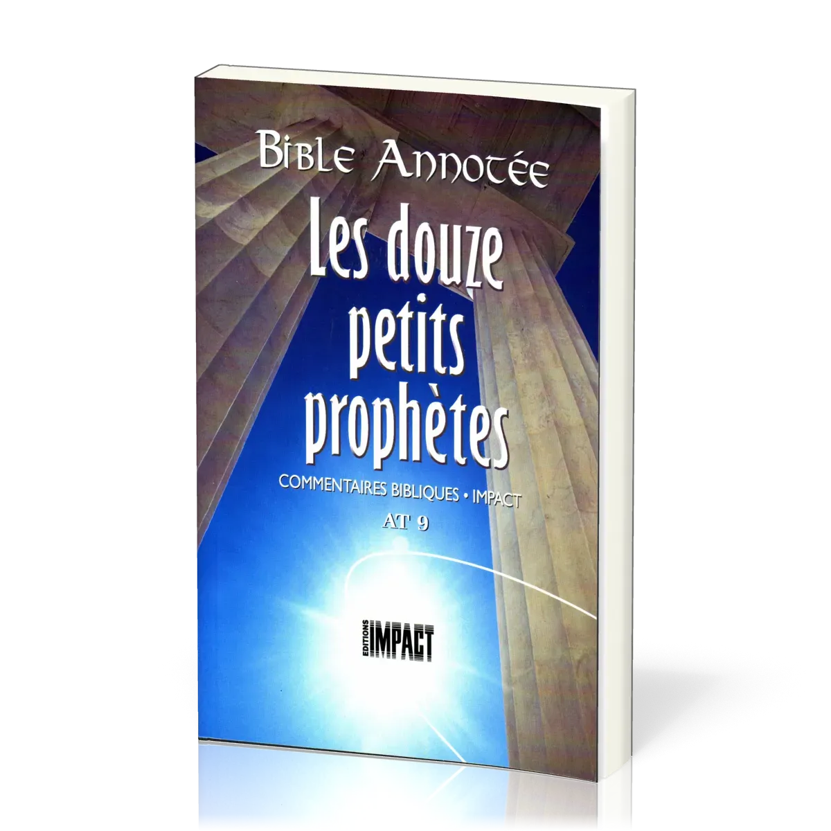BIBLE ANNOTEE A.T. 9 - DOUZE PETITS PROPHETES