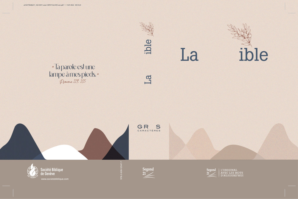 BIBLE SEGOND 21 GROS CARACTERES RIGIDE TOILEE MATELASSEE