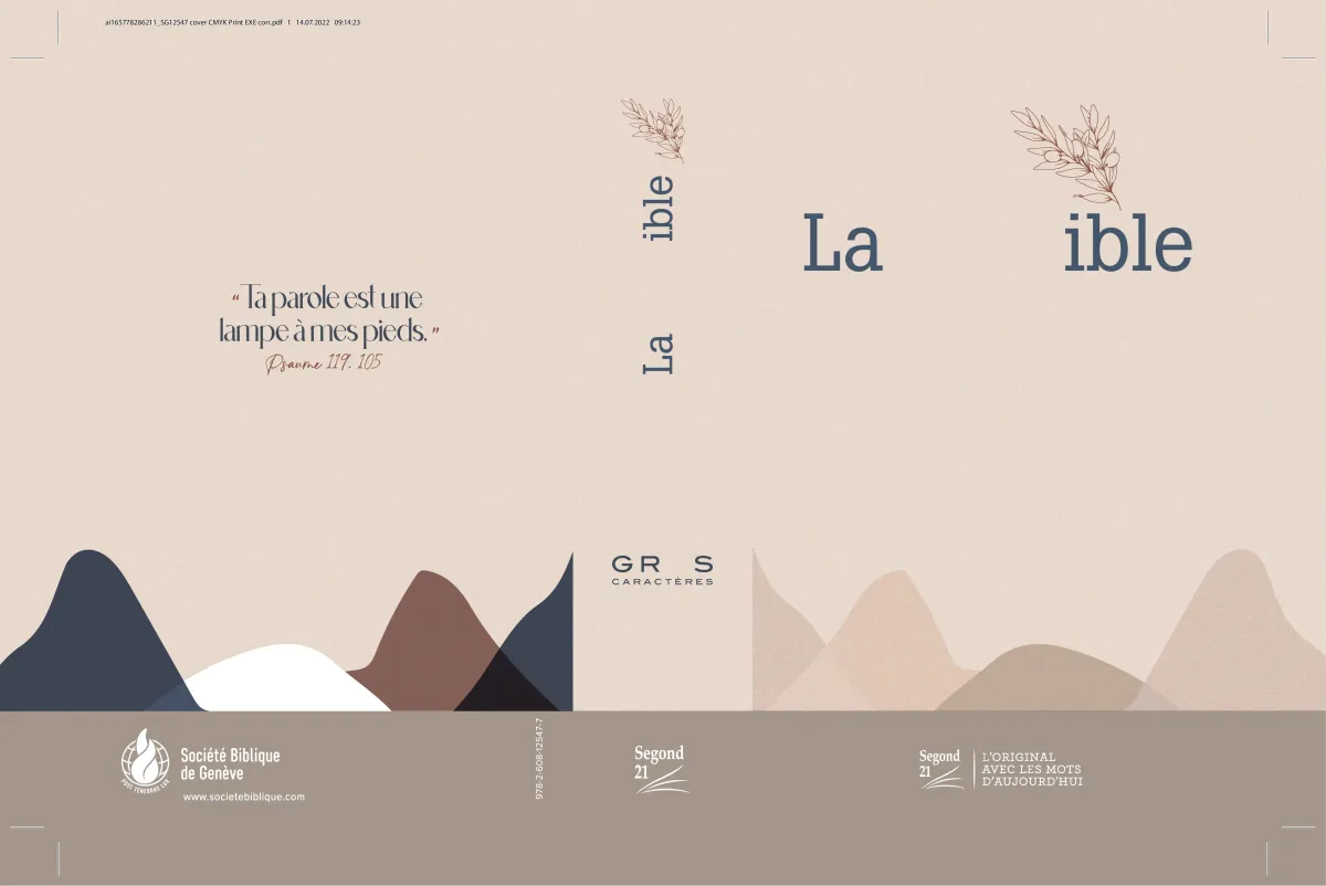 BIBLE SEGOND 21 GROS CARACTERES RIGIDE TOILEE MATELASSEE